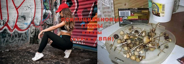 кокаин Алексеевка